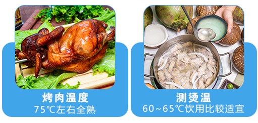 食品电子温度计怎么用.JPG